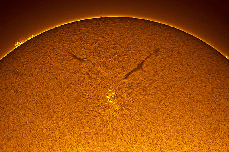A Sunspot in the New Solar Cycle