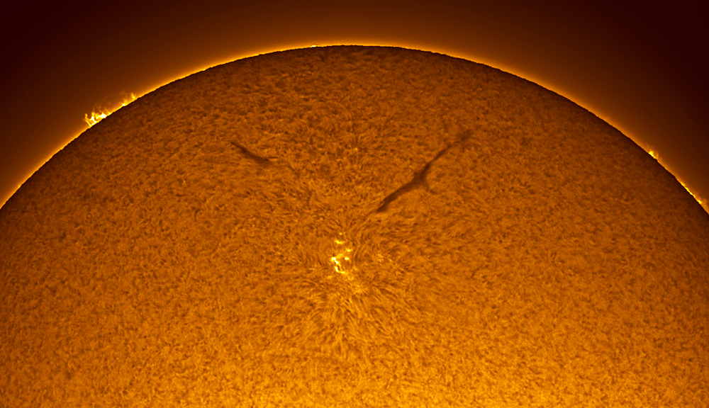 A Sunspot in the New Solar Cycle