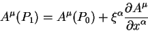 \begin{displaymath}
A^{\mu}(P_1) = A^{\mu}(P_0) + \xi^{\alpha} {\displaystyle\partial
A^{\mu}\over\displaystyle\partial x^{\alpha}}
\end{displaymath}