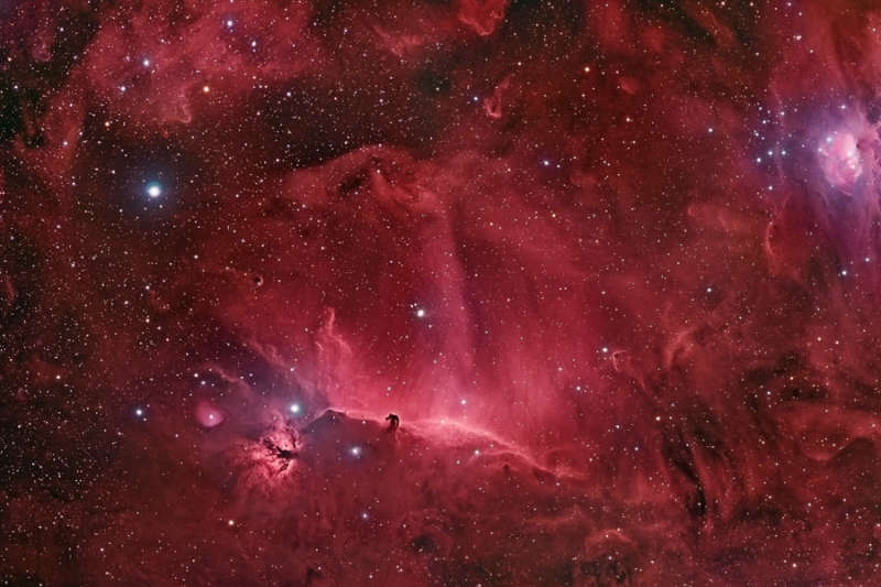 Wisps Surrounding the Horsehead Nebula