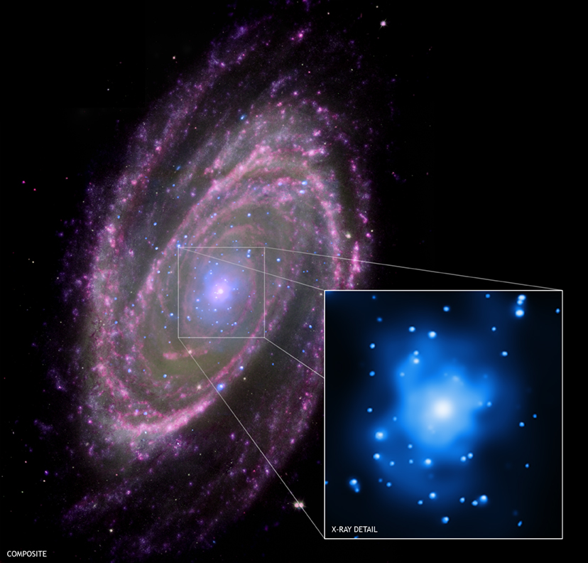 M81: Feeding a Black Hole