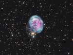 NGC 7008: туманность Эмбрион