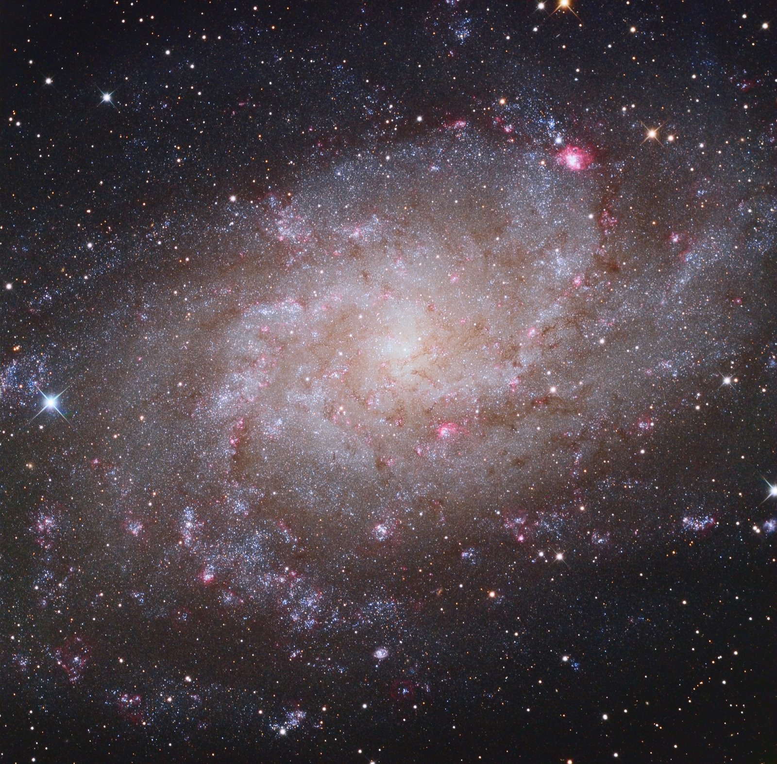  M33  