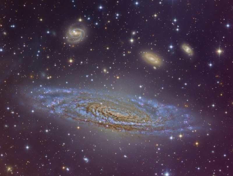 Beautiful Spiral NGC 7331