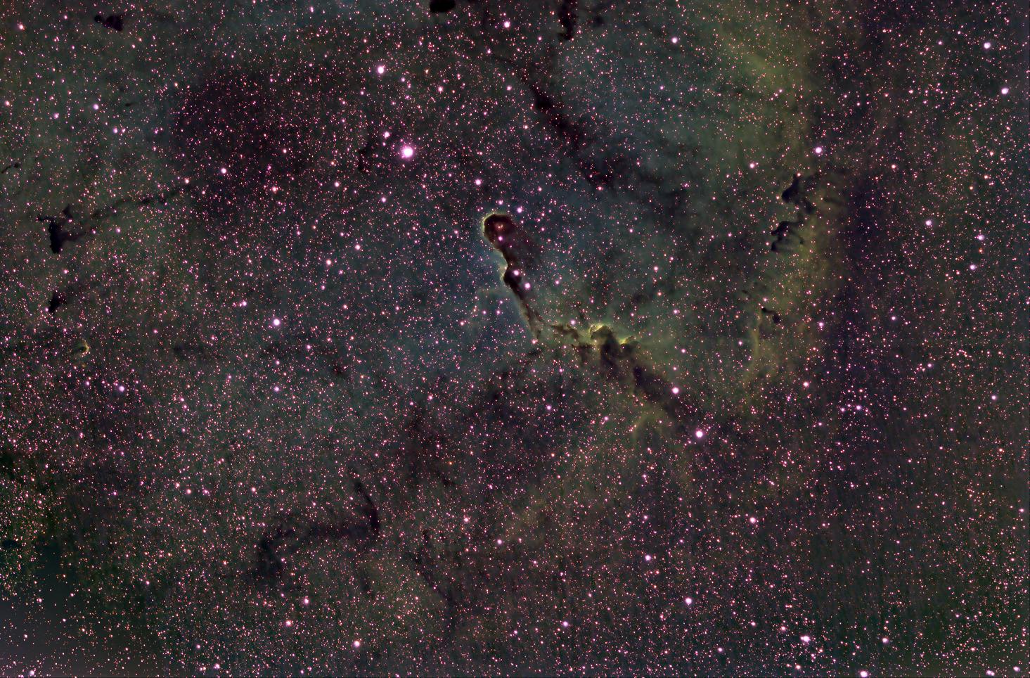    IC 1396