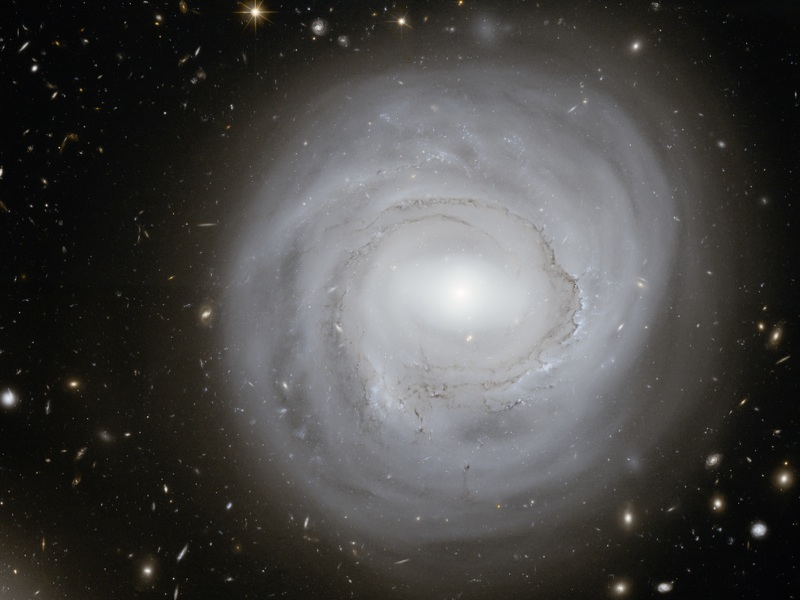 Anemic Galaxy NGC 4921 at the Edge