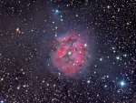 IC 5146: туманность Кокон
