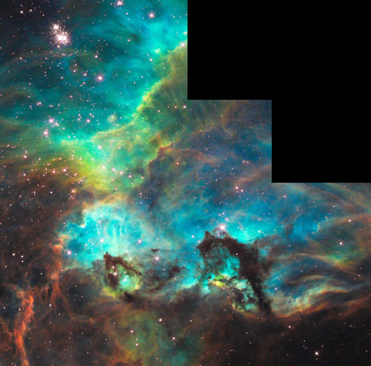 The Seahorse of the Large Magellanic Cloud