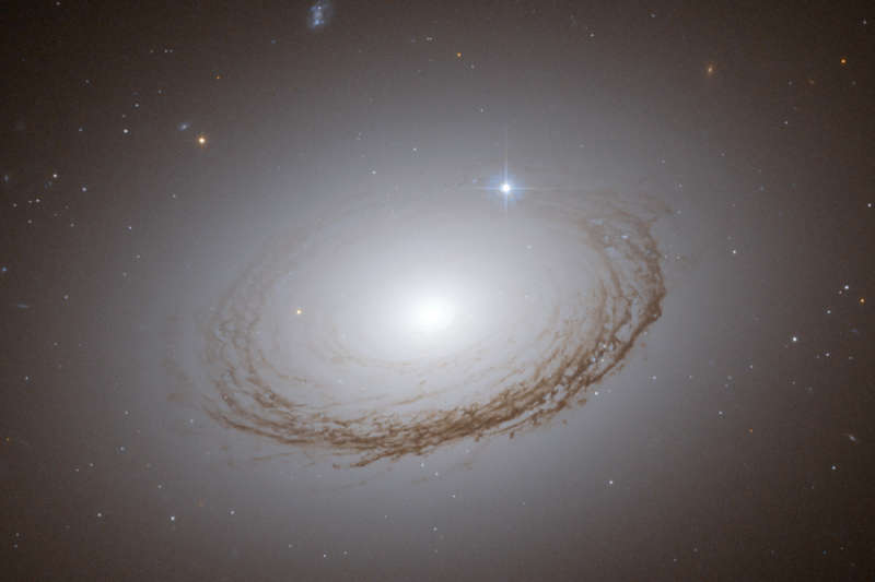Neobychnaya zapylennaya galaktika NGC 7049