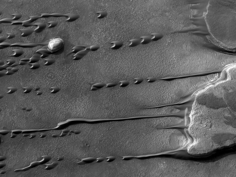 Flowing Barchan Sand Dunes on Mars