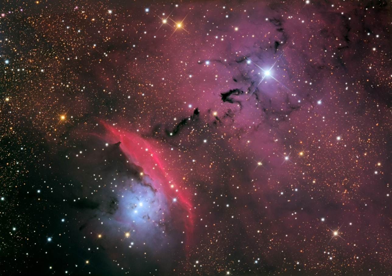 Zvezdy, pyl' i tumannost' v NGC 6559