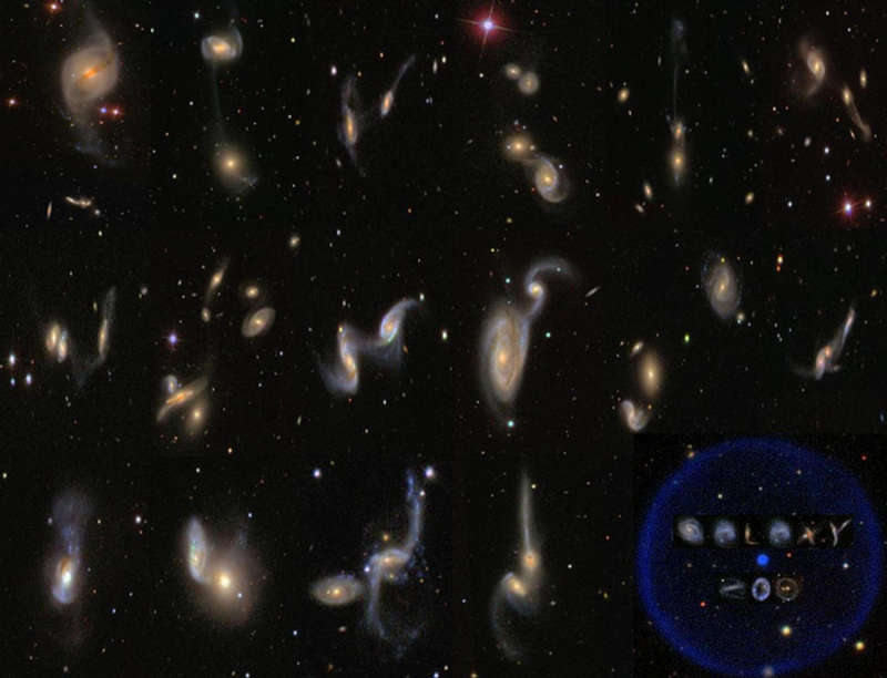 Galaxy Zoo Catalogs the Universe