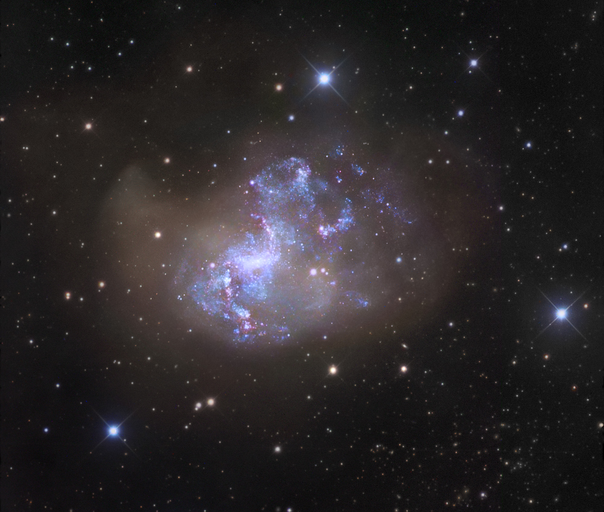 Unusual Starburst Galaxy NGC 1313