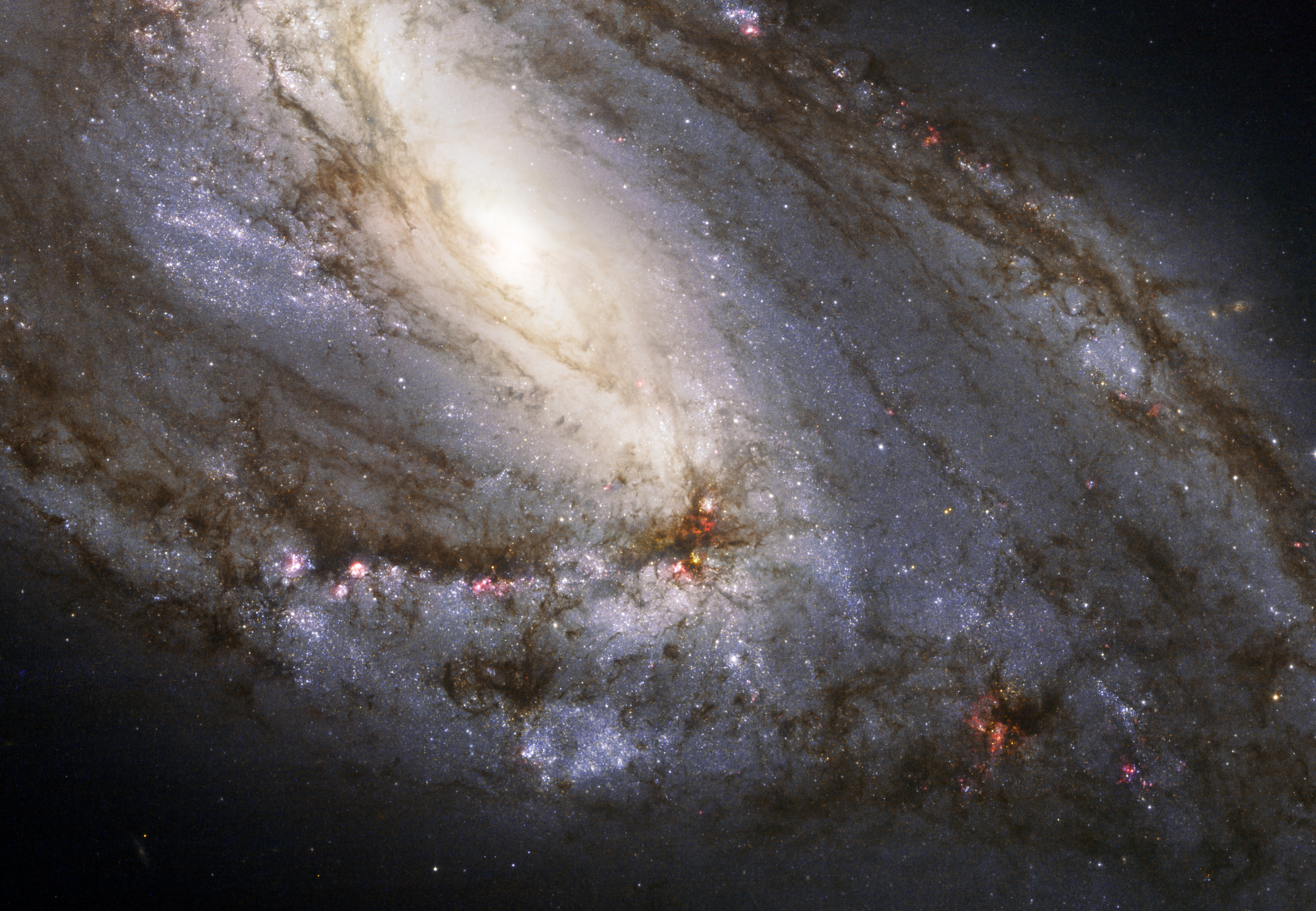 Neobychnaya spiral'naya galaktika M66 v teleskop im. Habbla