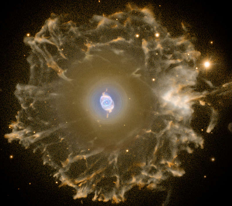 Halo of the Cats Eye