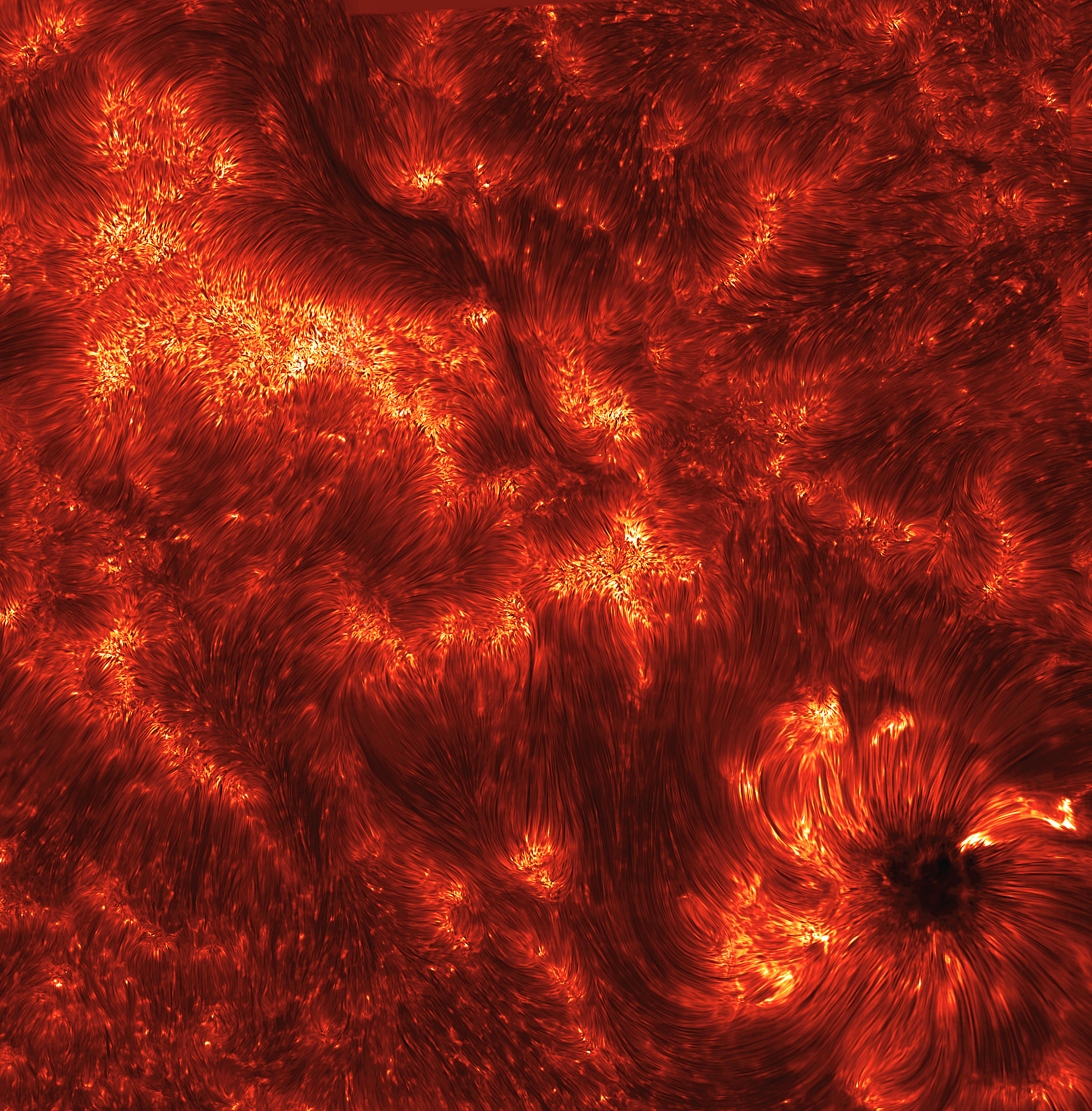 Spicules: Jets on the Sun