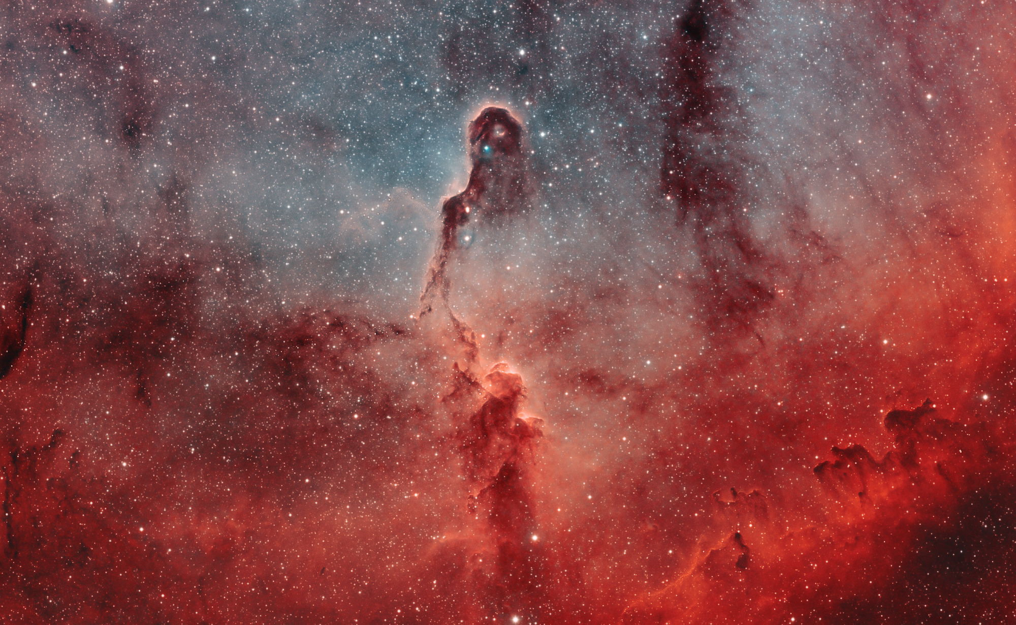 The Elephant's Trunk in IC 1396