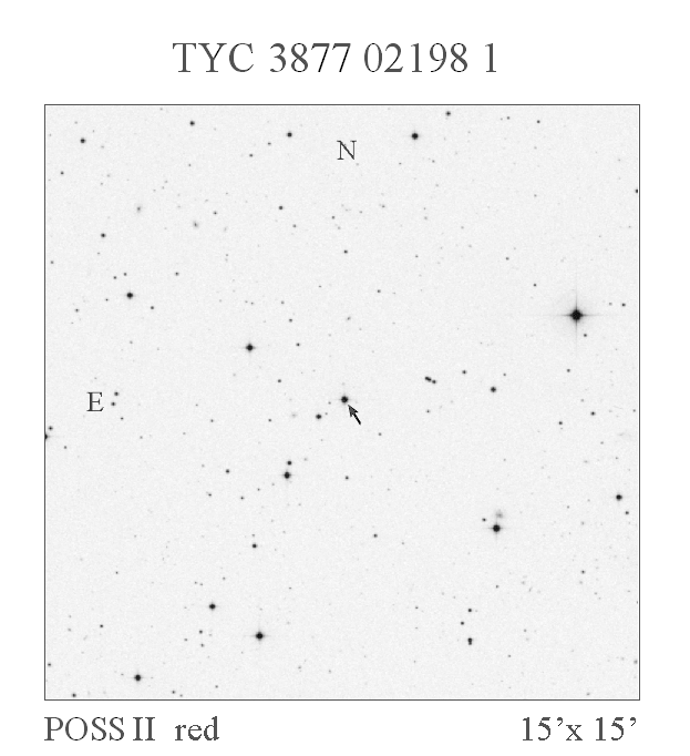 TYC 3877 02198 1,  a New Multiperiodic RR Lyrae Variable Star with First-Overtone and Non-Radial Pulsations