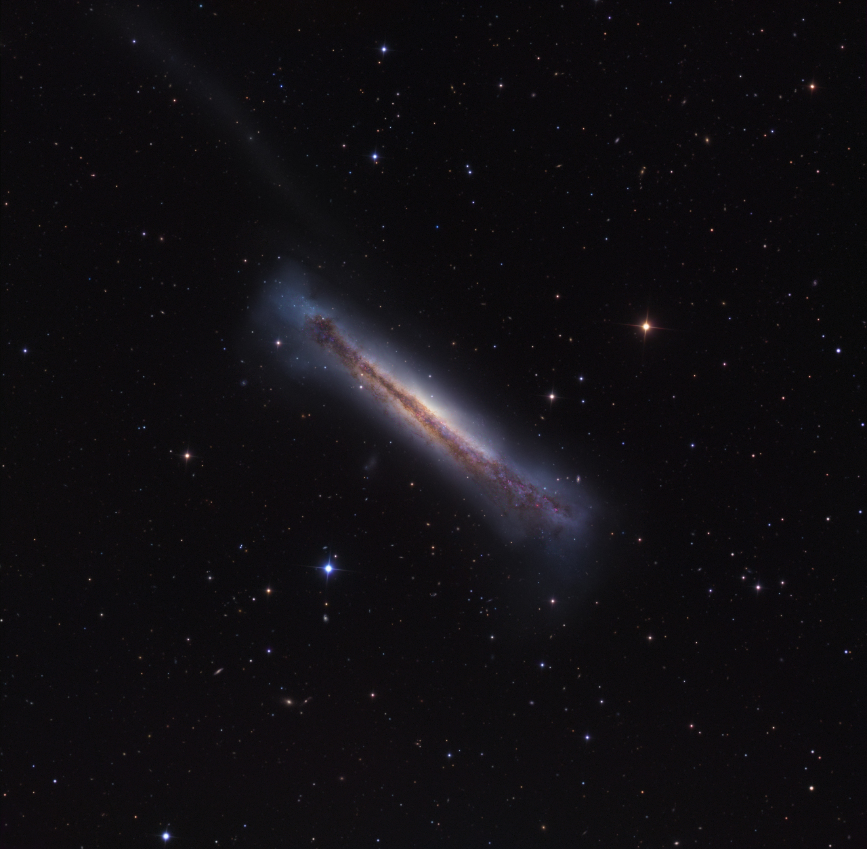 Sideways Galaxy NGC 3628