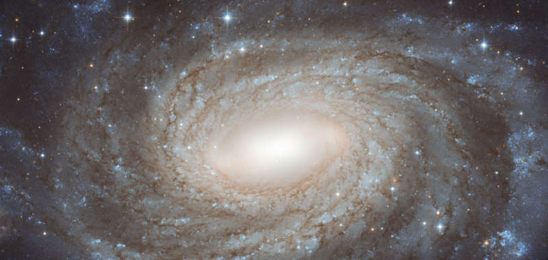 NGC 6384: zvezdy na fone spiral'noi galaktiki