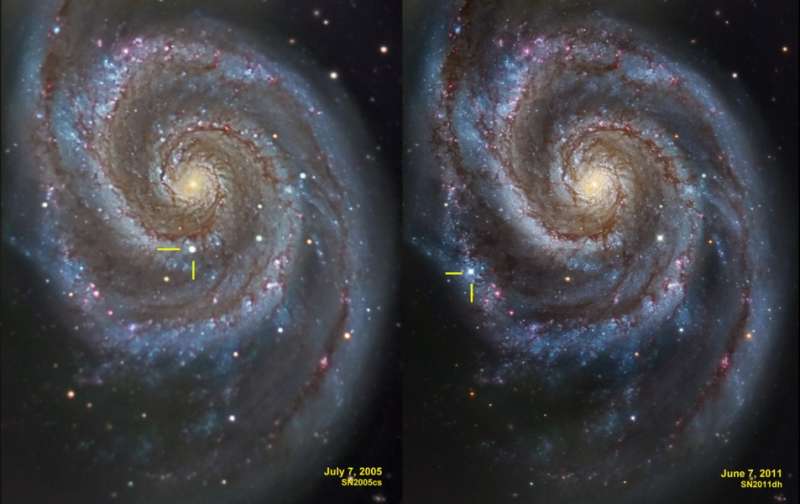 Supernovae in the Whirlpool