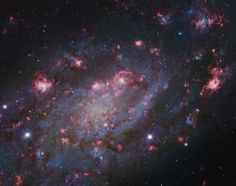 NGC 2403   