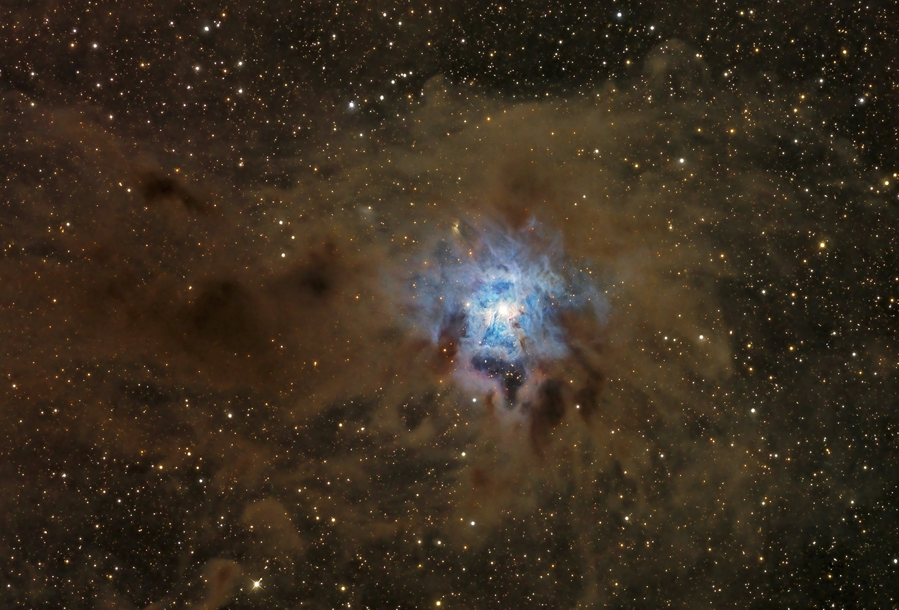 A Dusty Iris Nebula