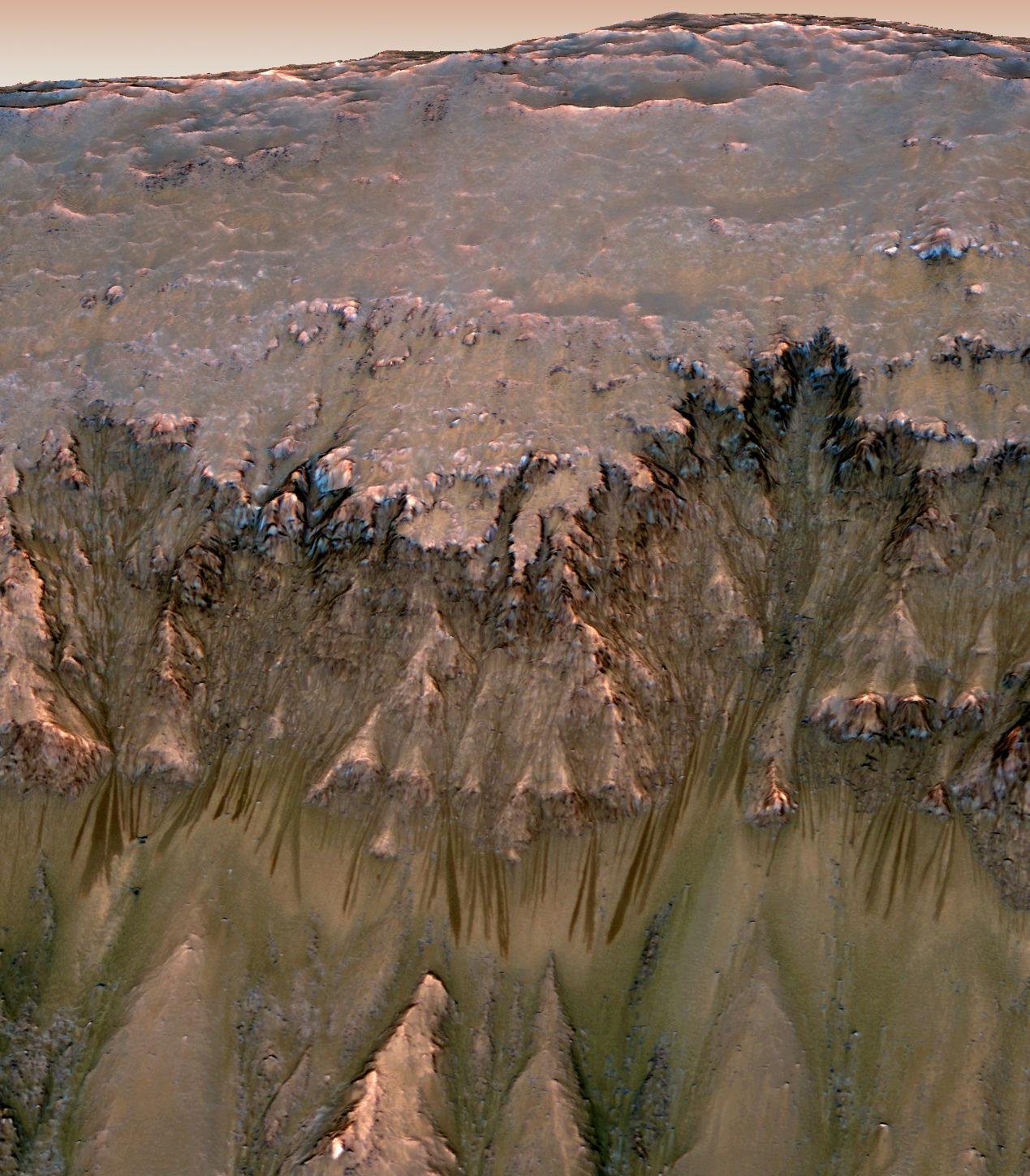 Sezonnye temnye polosy na Marse