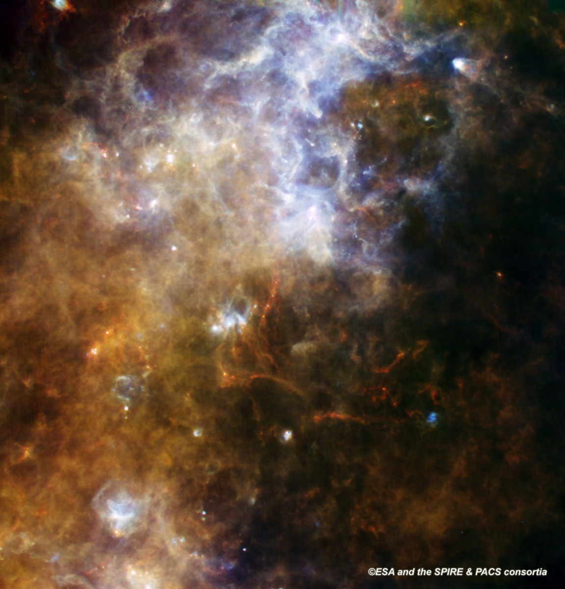 Herschel Views the Milky Way