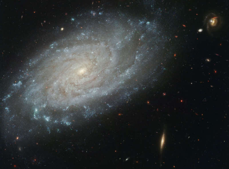   NGC 3370:    .