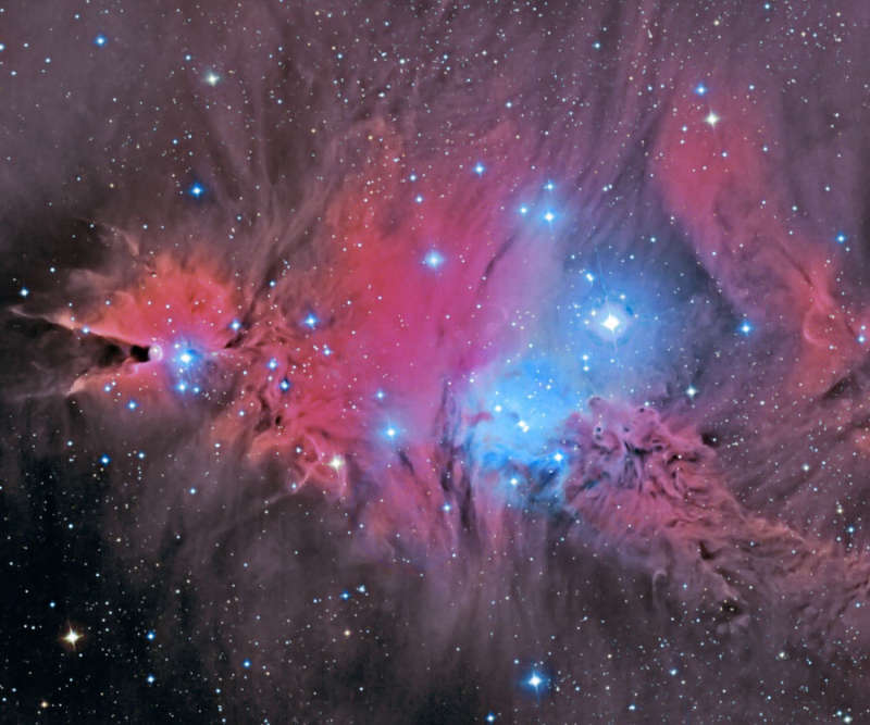 In the Vicinity of the Cone Nebula