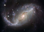 Спиральная галактика NGC 1672: вид в телескоп им.Хаббла
