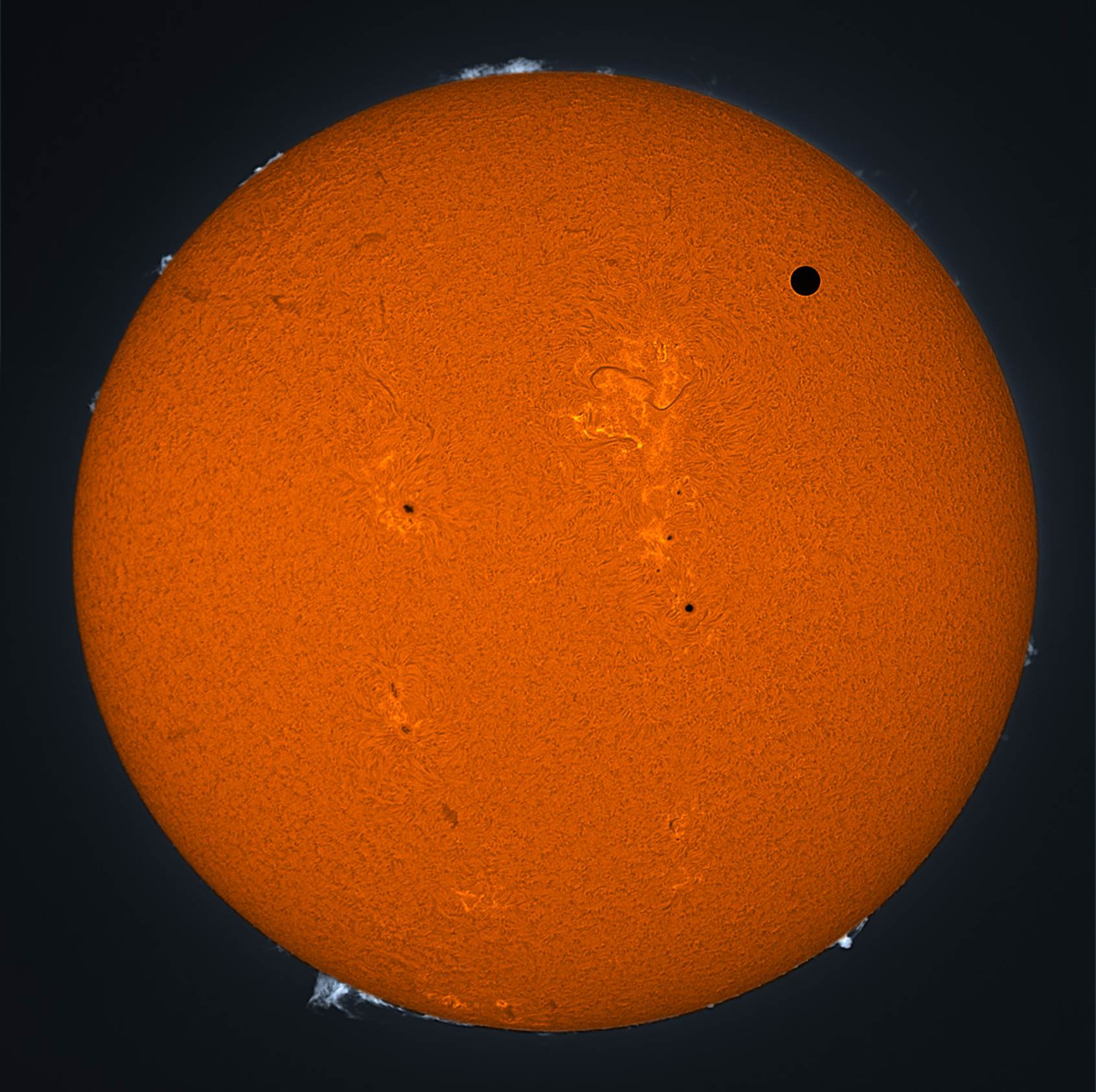 Venus Transit 2012