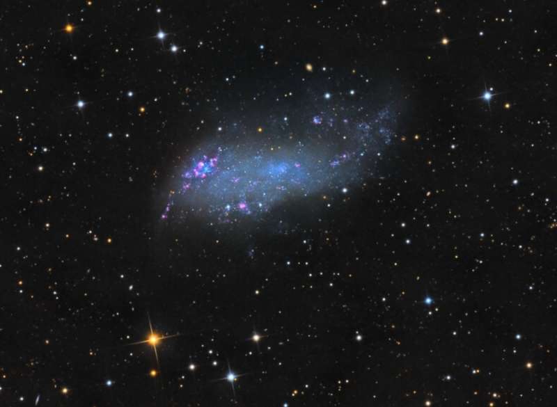 IC 2574: tumannost' Koddingtona