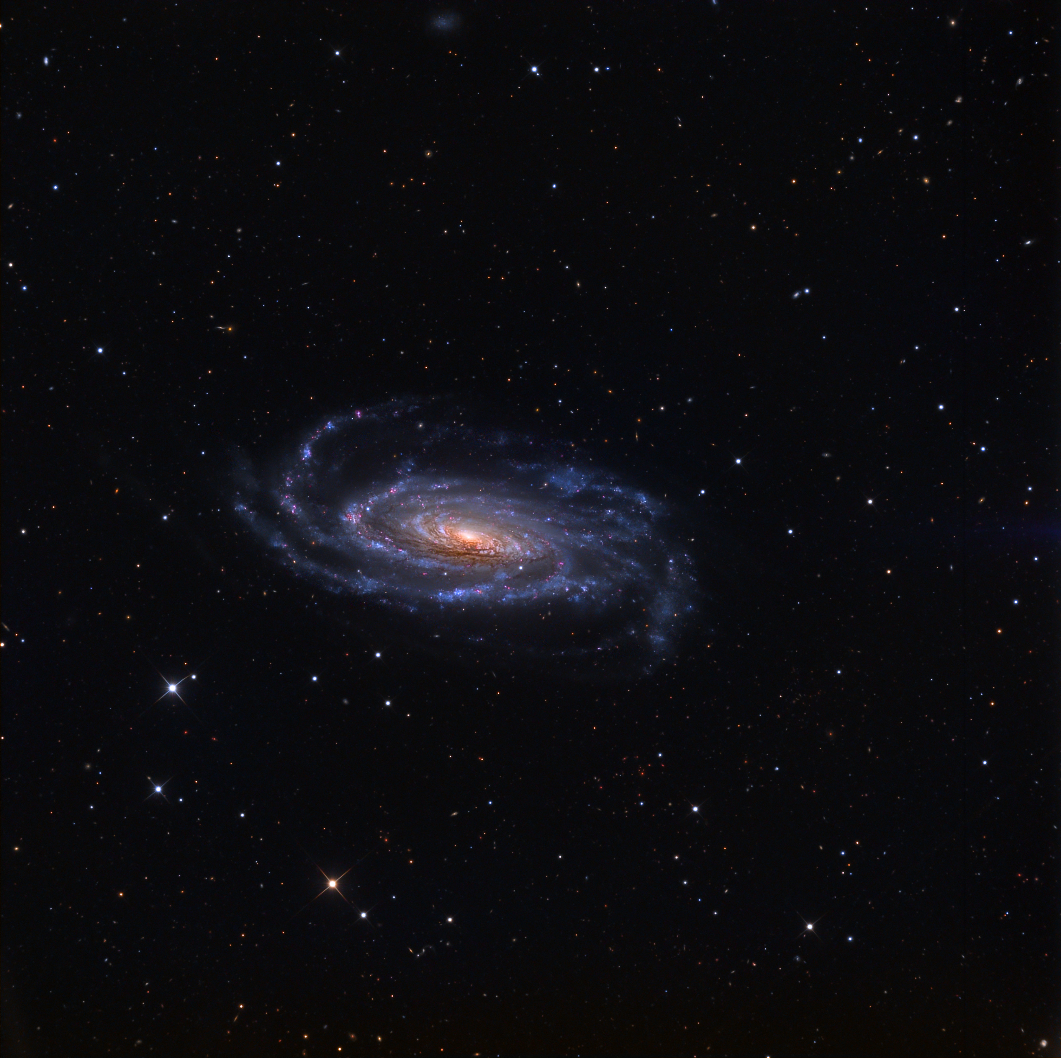   NGC 5033