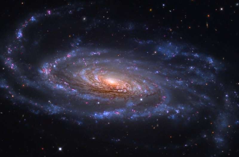 Spiral'naya galaktika NGC 5033