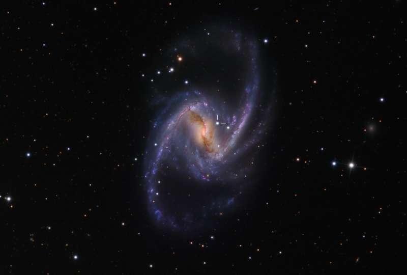 NGC 1365:     