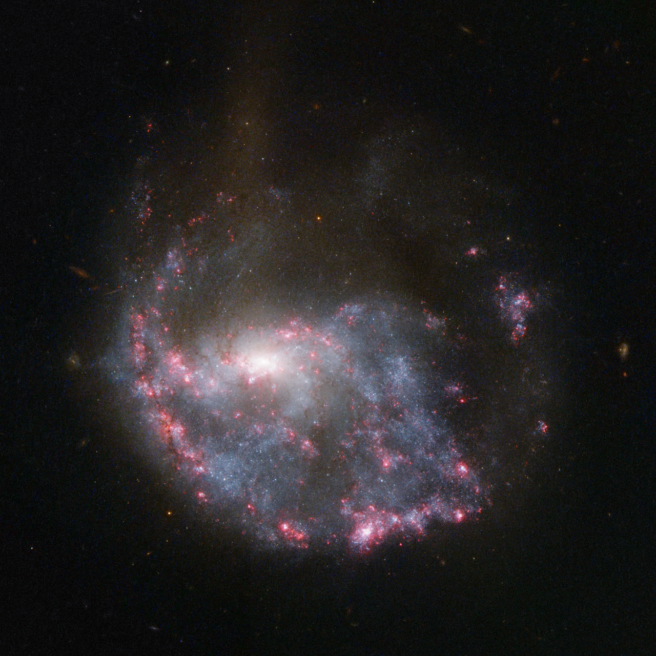 NGC 922:   