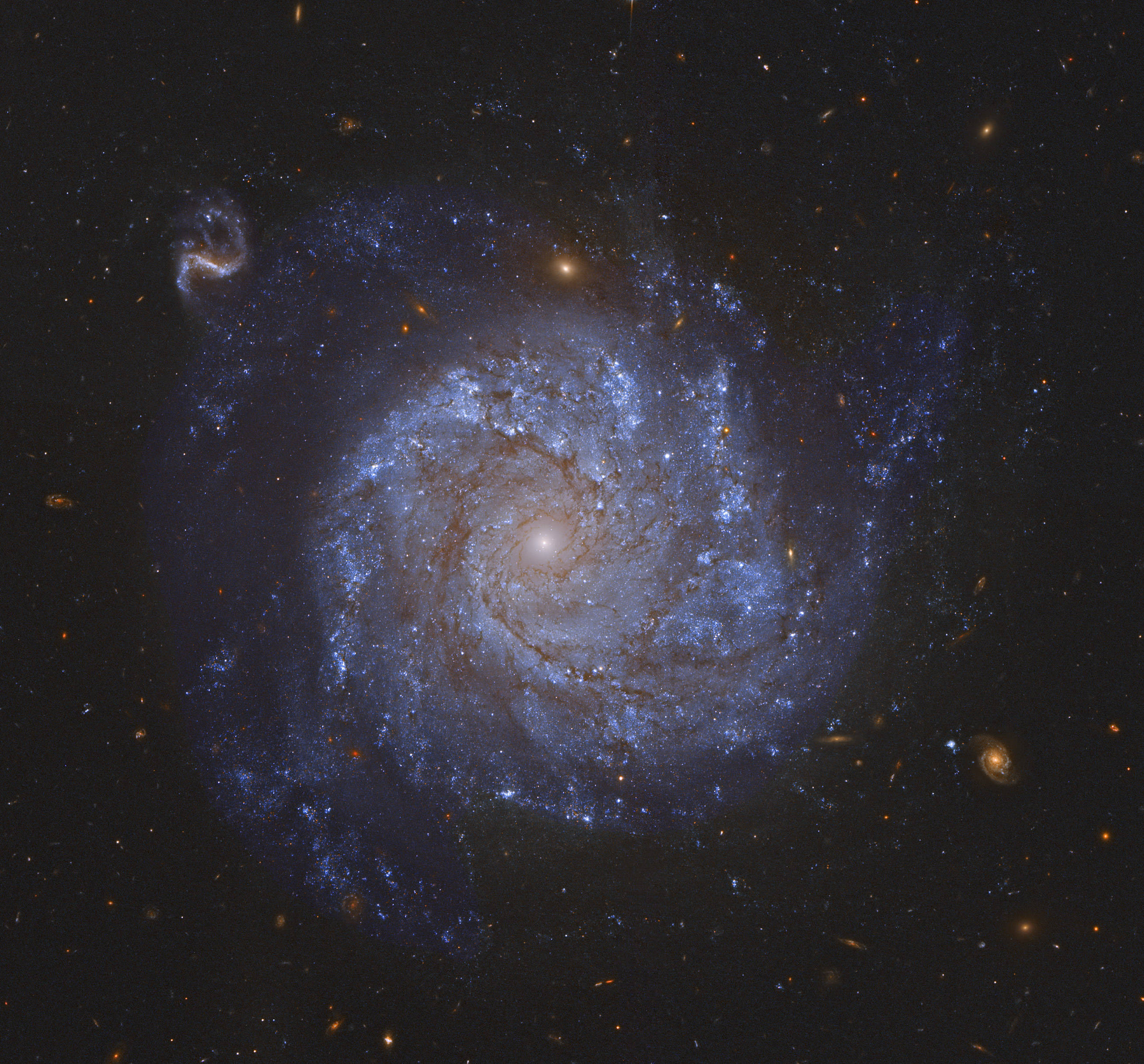 NGC 1309:     