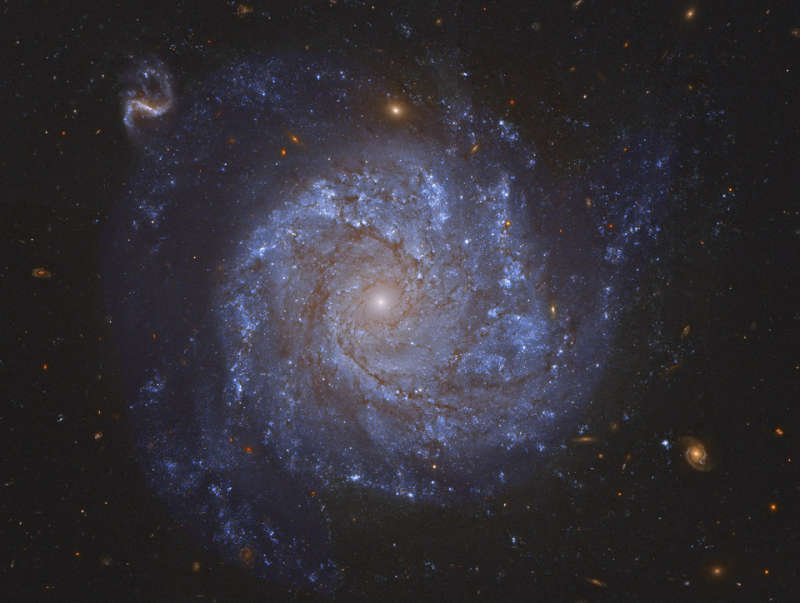 NGC 1309:     