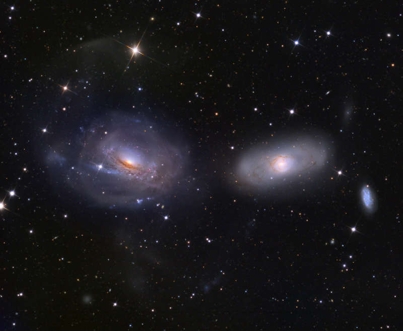 Unraveling NGC 3169