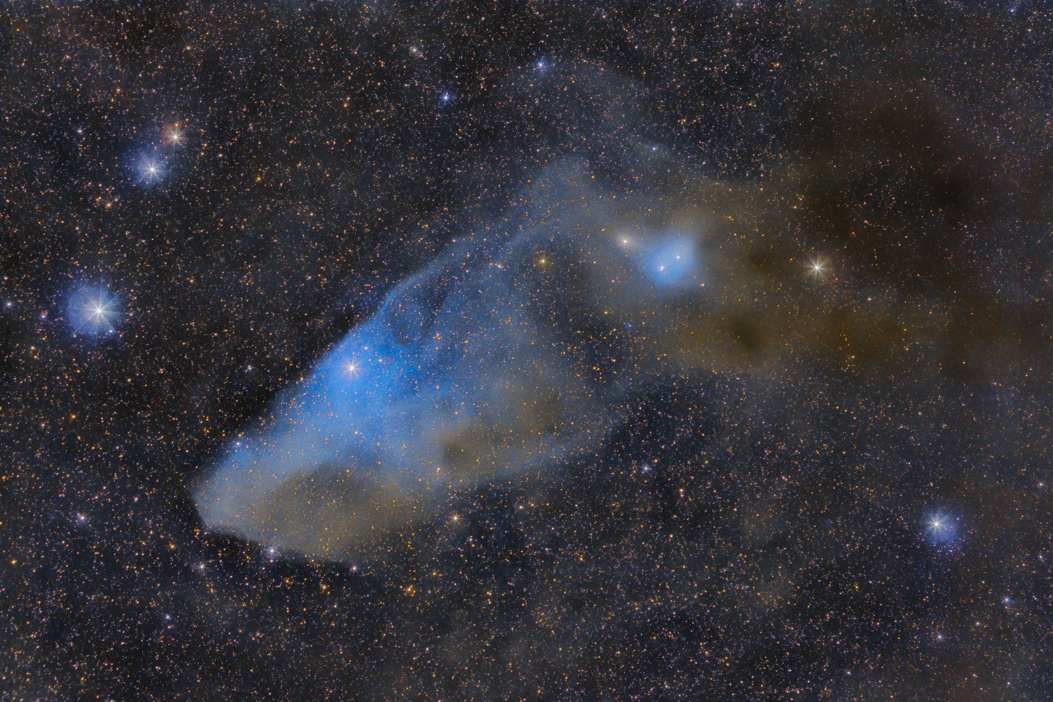 IC 4592: The Blue Horsehead Reflection Nebula