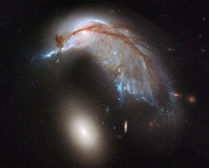 The Porpoise Galaxy from Hubble