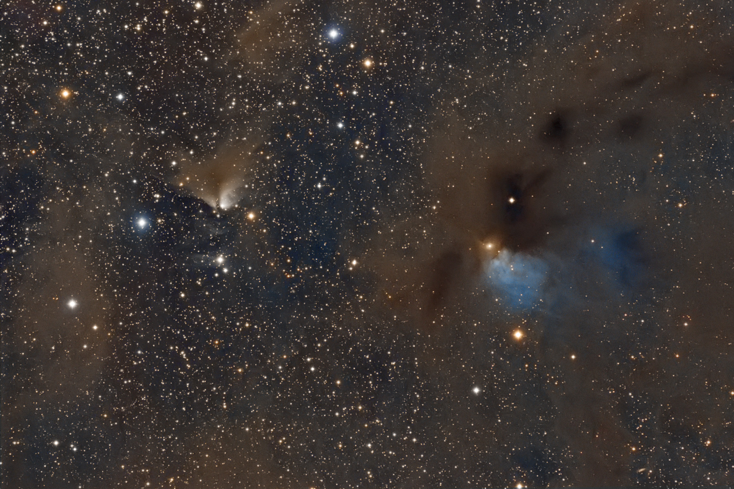 Dusty Nebulae in Taurus