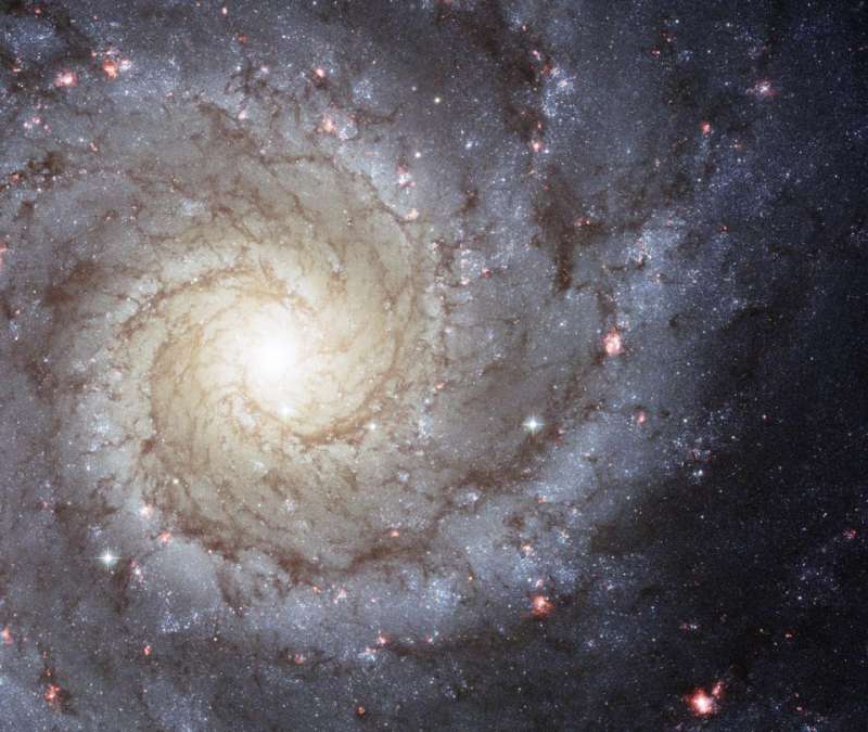 M74: The Perfect Spiral