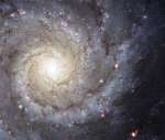 M74: ideal'naya spiral'