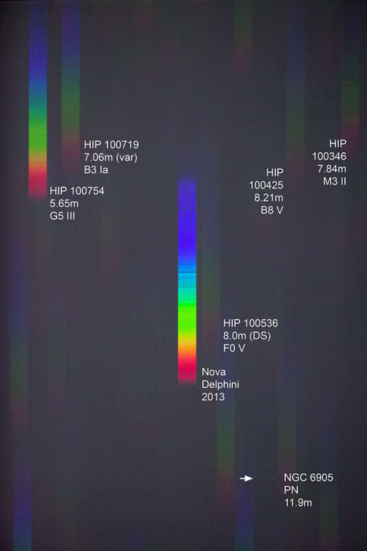 A Spectrum of Nova Delphini
