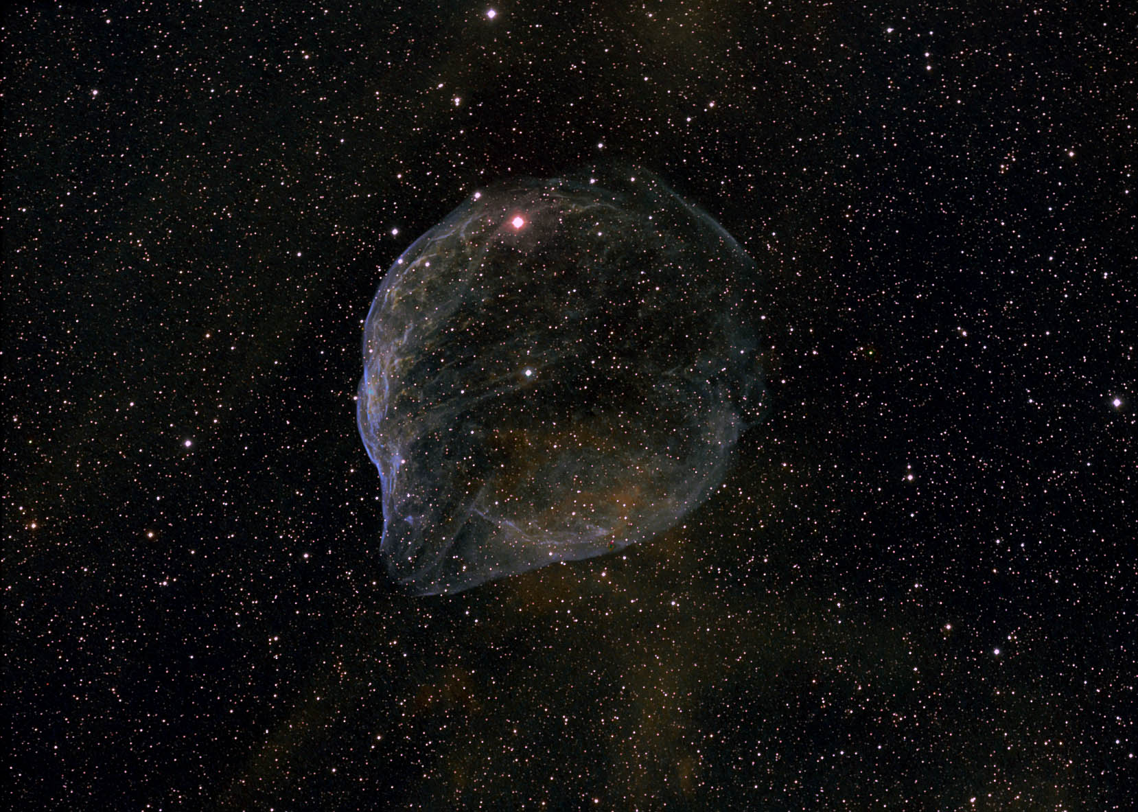 Sharpless 308: Star Bubble