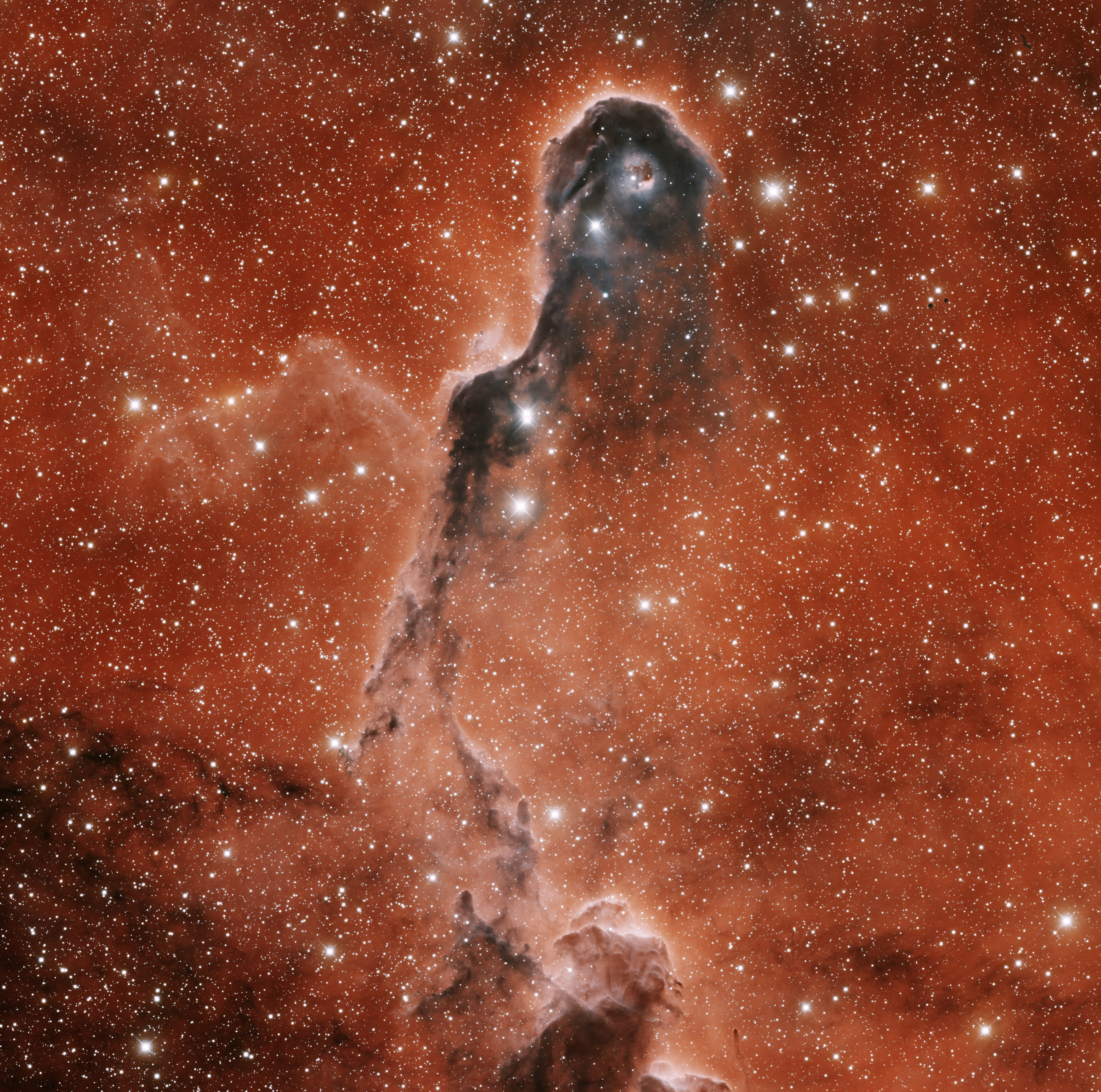    IC 1396