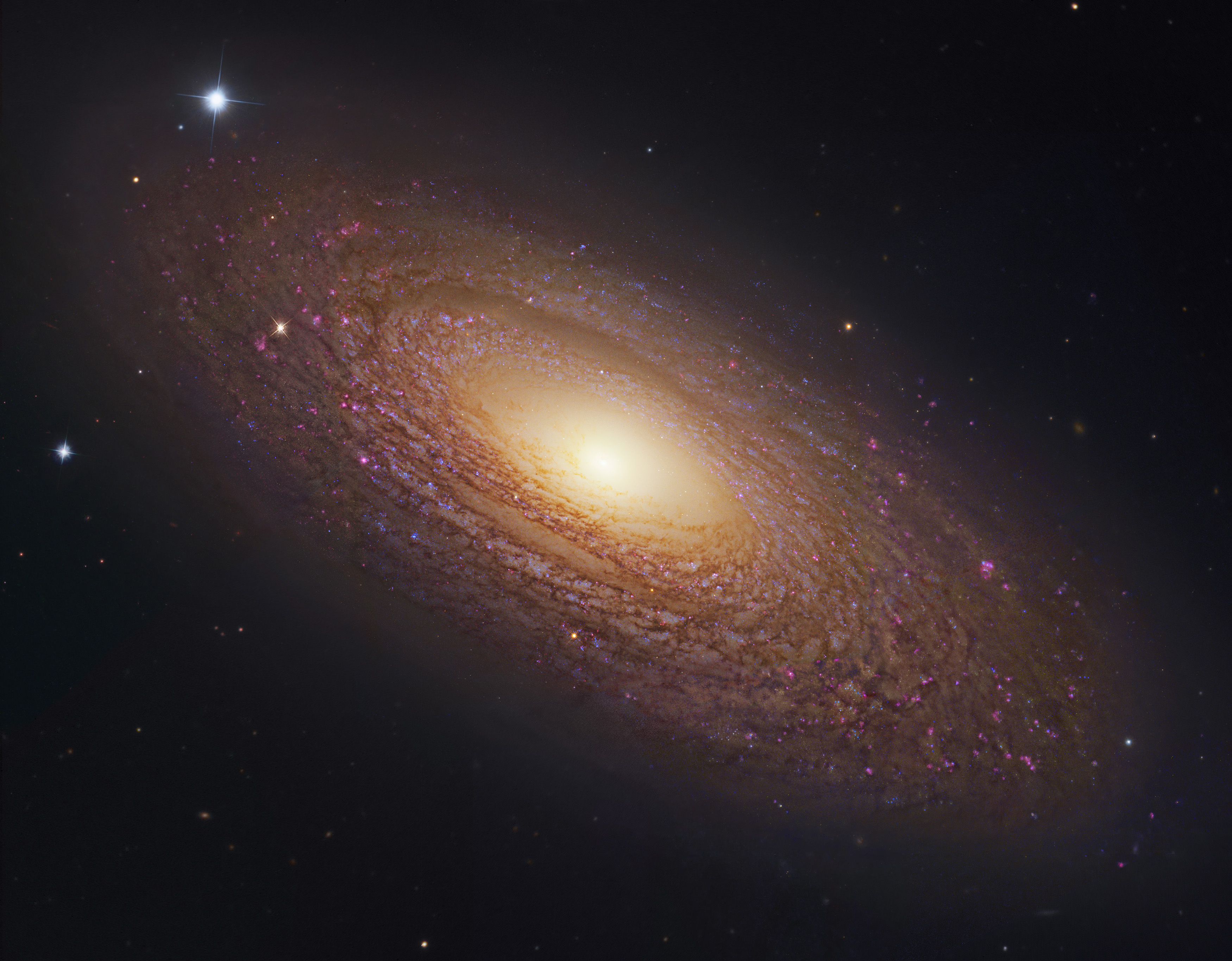 Blizkaya massivnaya spiral'naya galaktika NGC 2841